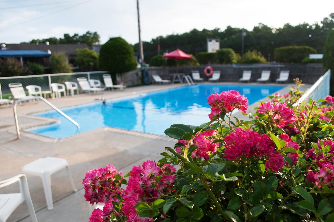Southfleet Motor Inn Wellfleet Exteriör bild