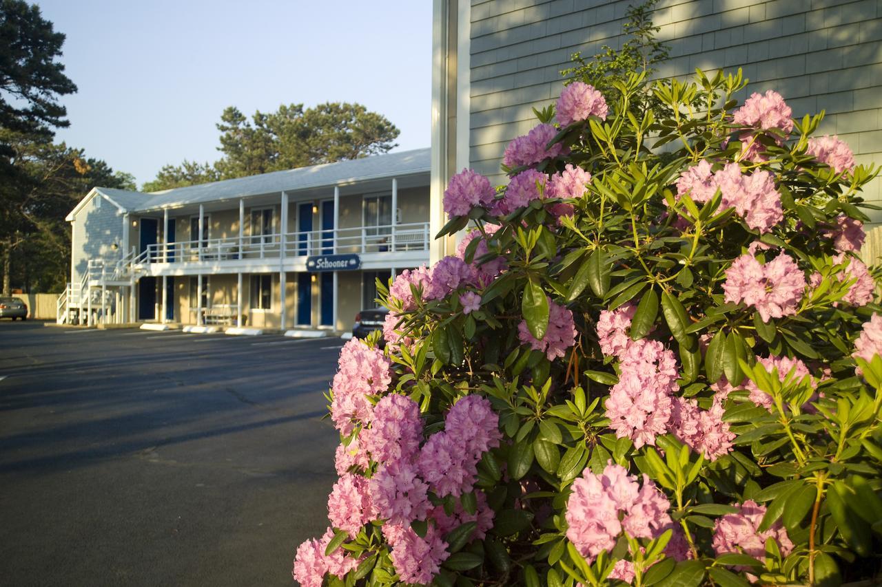 Southfleet Motor Inn Wellfleet Exteriör bild